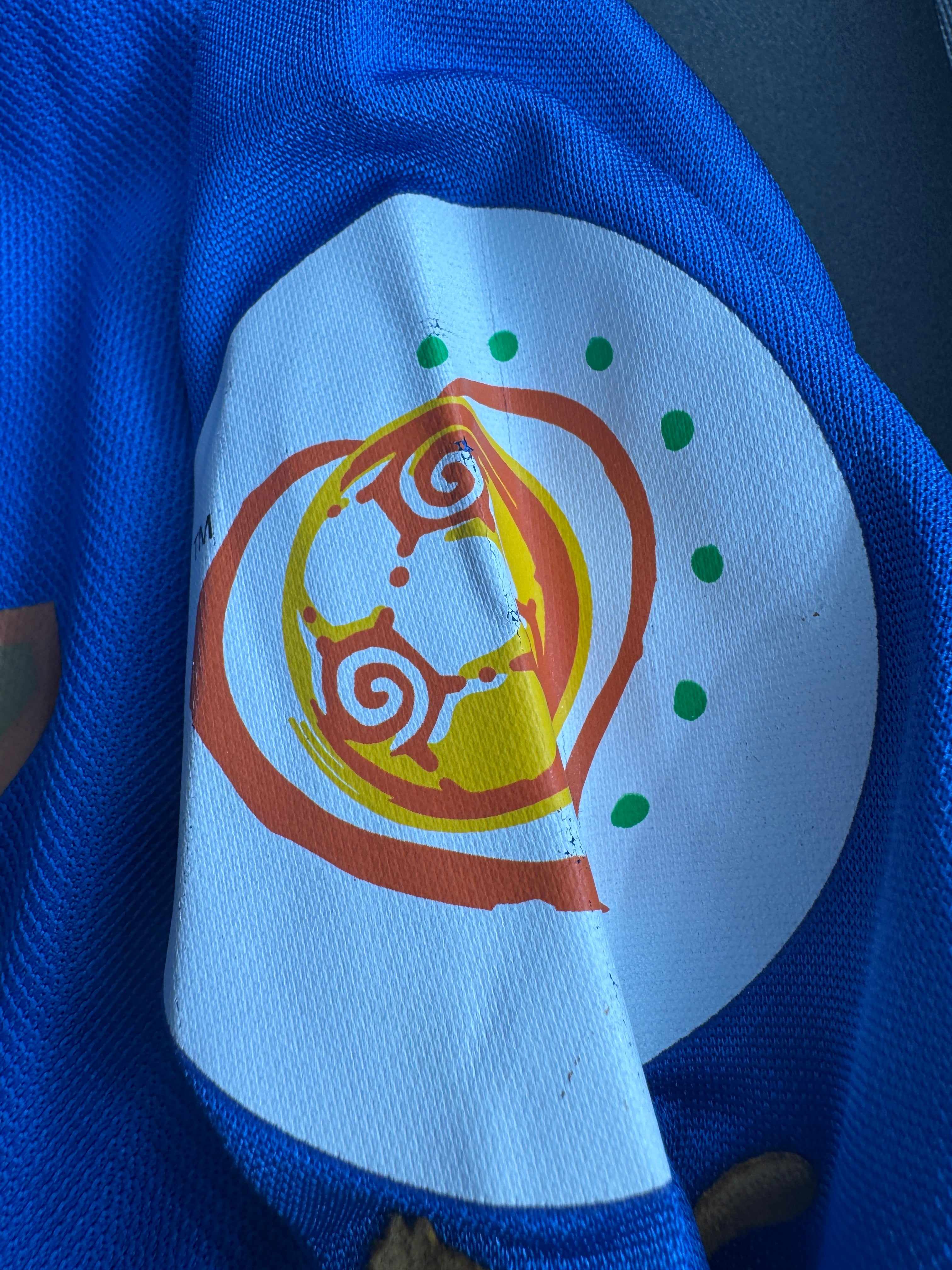 Nesta - Italia - 2004 Home