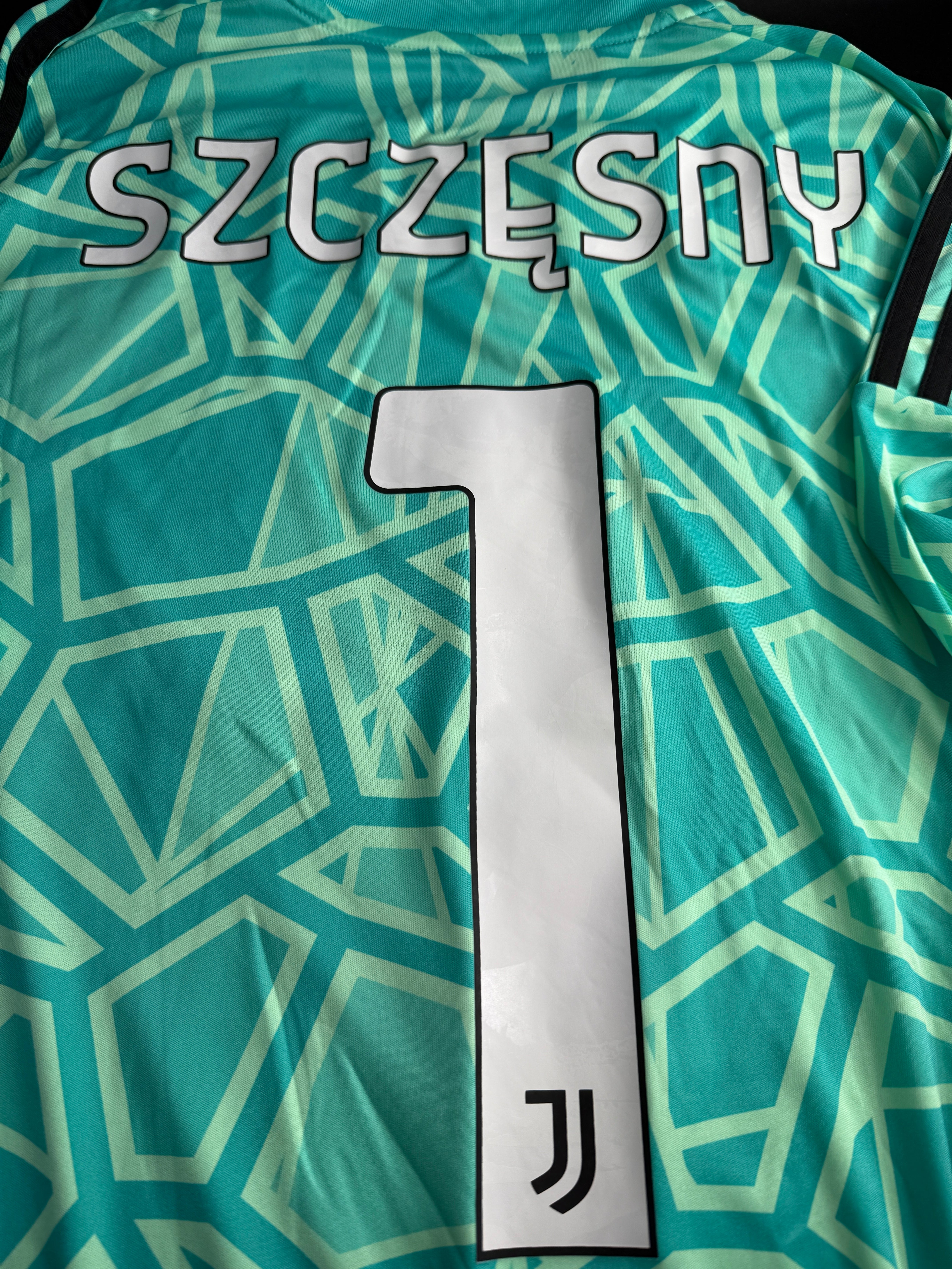 Teal sports jersey with geometric pattern and name 'Szczezny'.